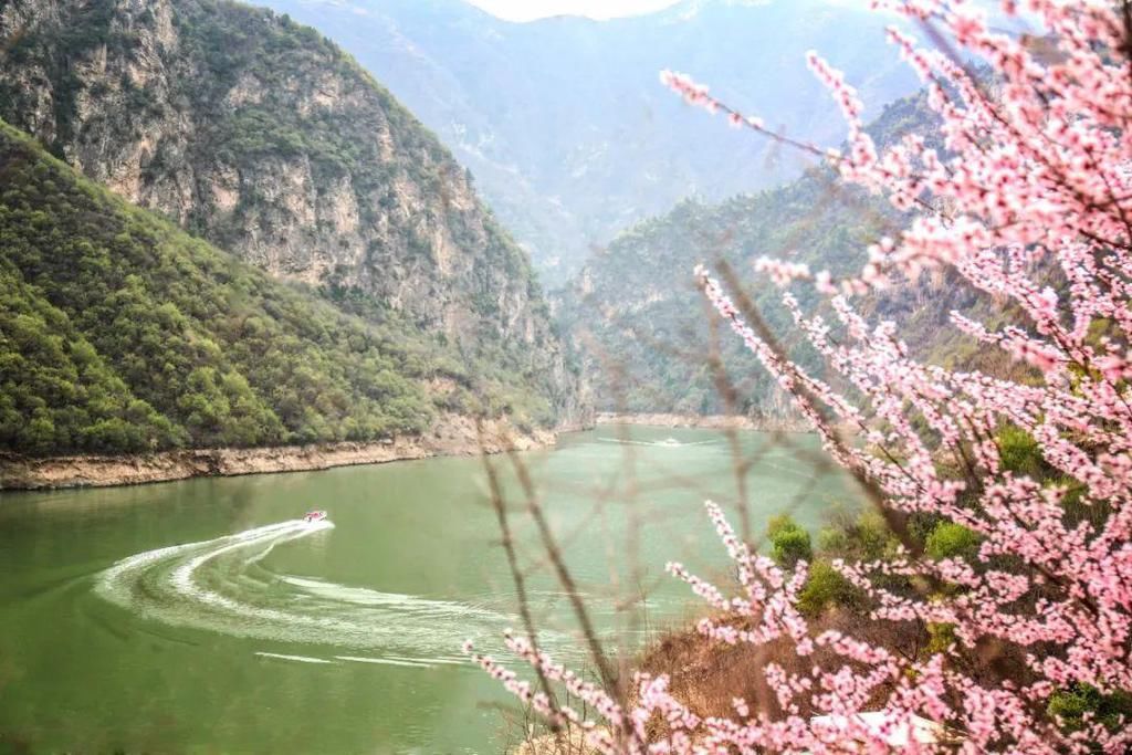 郑国渠旅游风景区第三届山野桃花节浪漫来袭~~