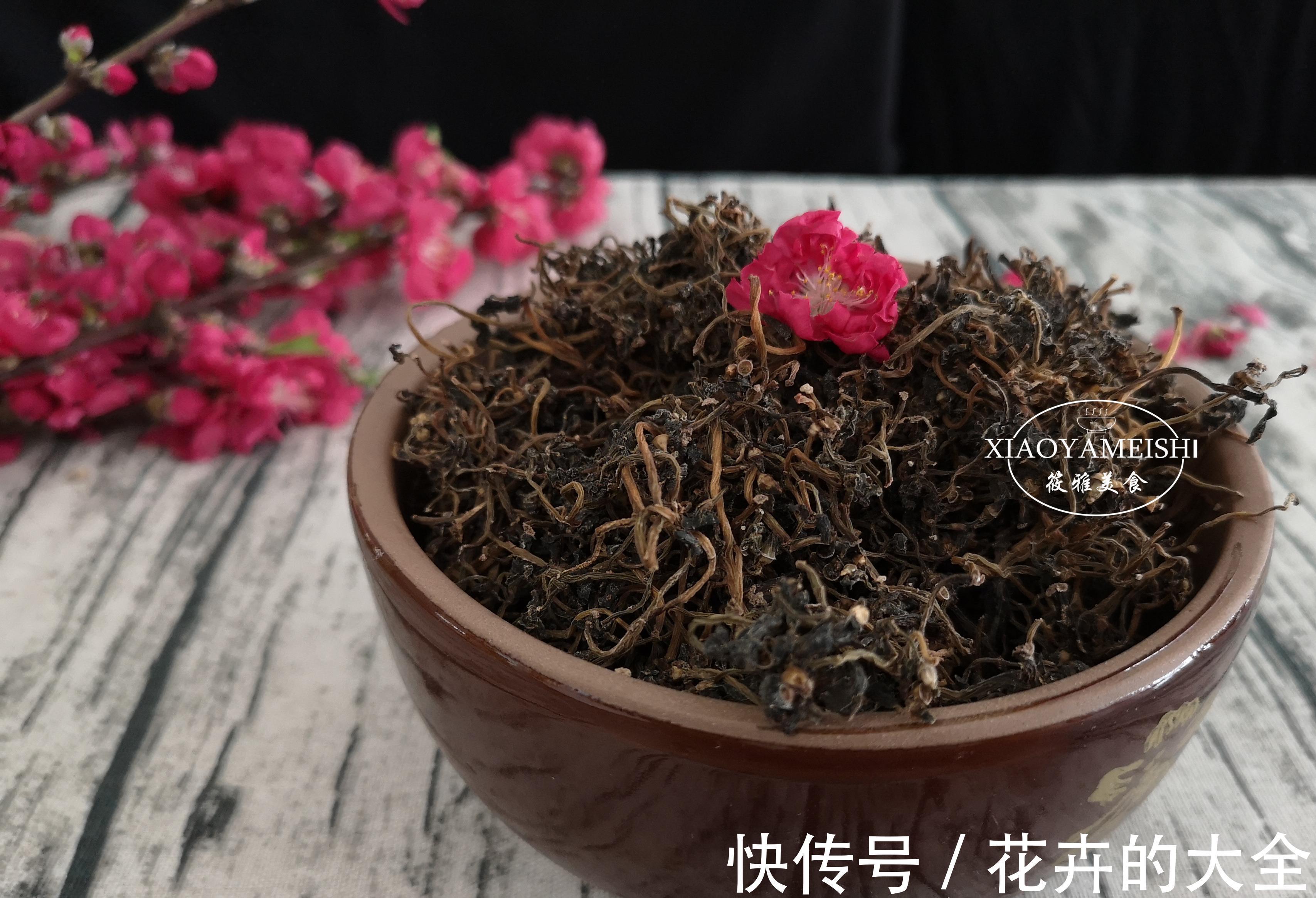 穿心莲|这6种长在地里的“天然青霉素”，隔三差五吃一回，常吃少生病