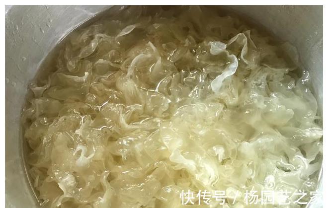 养胃|维生素C是苹果的10倍,和小米煮成粥,养胃去秋燥,隔三差五必