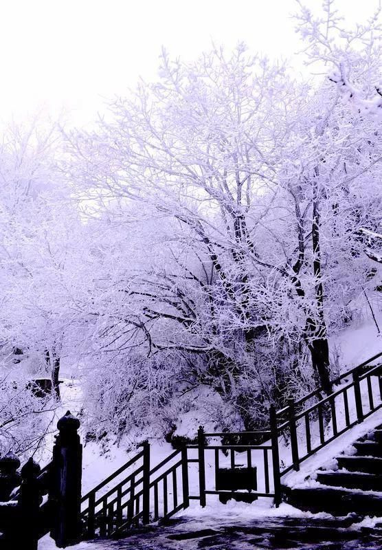 风雪|风雪武当山,仙境藏玄机!大雪封山时,道人、隐士都在干什么!