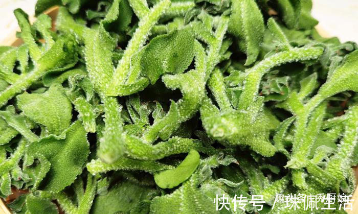 冰草|天越热，儿子越馋此菜，三天两头吃一次，补充维生素，头脑更聪明