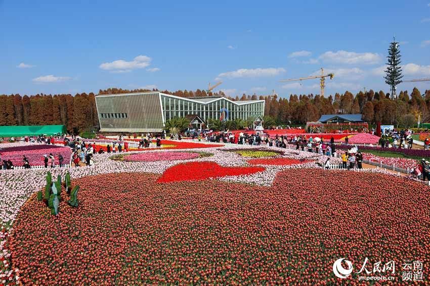 老年|昆明：乐享春光 欢度春节（组图）