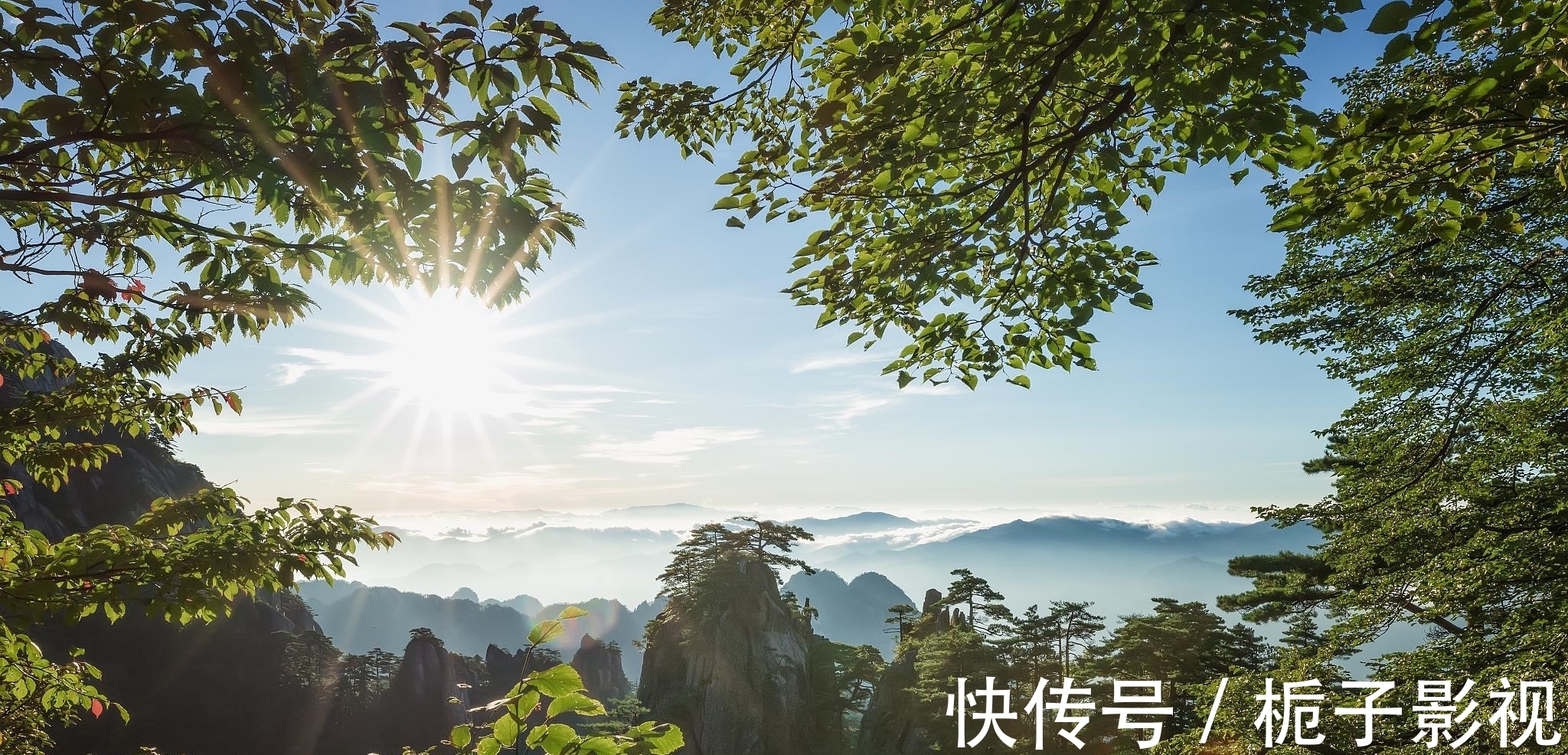 临绝顶|雨雾黄山 一山四季不同 云来云去惹人醉