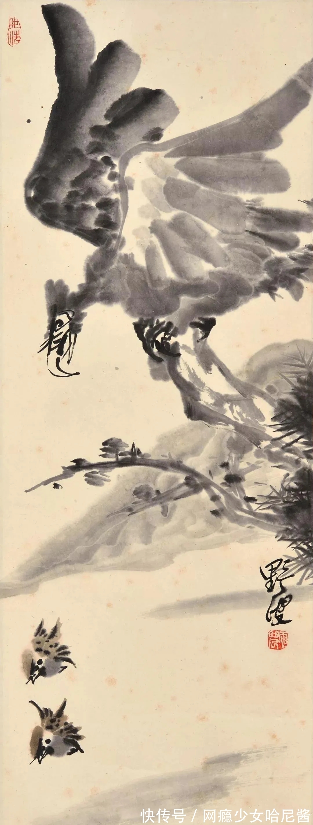 花鸟画@随心所欲、自然天成｜蒋雨浓写意花鸟画