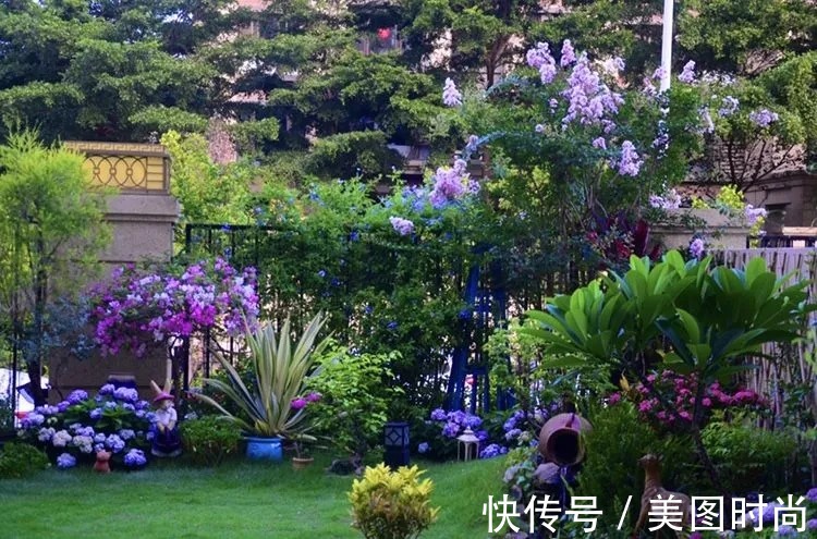 三角梅|120㎡别墅花园改造,经过三年的努力,小院从荒地到花开满园