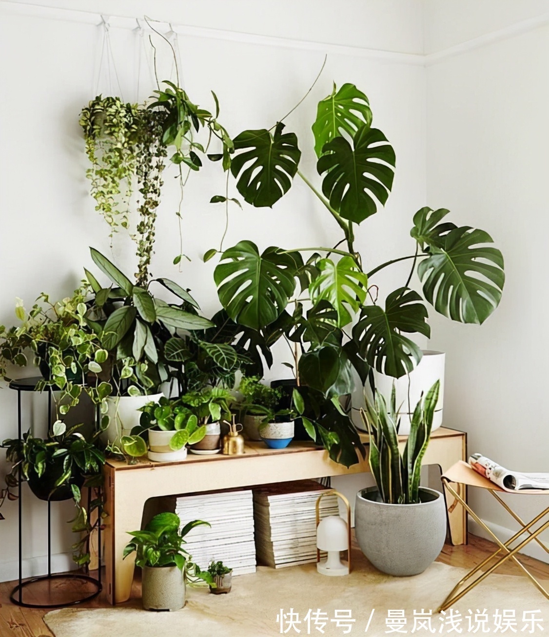 酚醛|新房装修好不要着急入住,切记要做好4步,别因为着急而忽视健康