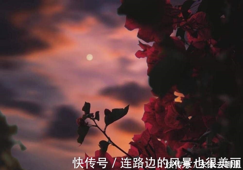 双子座|三个星座越长大，越难爱上一个人，是因为优秀，还是胆子变小了？