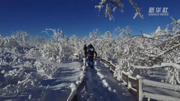 凤凰山国家森林公园|豪气！东北的雪 漫山遍野