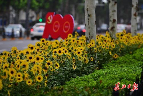 7月 這些花開得好熱鬧 中國熱點
