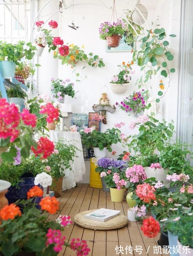 养花浇水，4个错别犯，不然养啥花都黄叶、烂根，学会一生受用