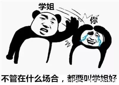 |搞笑一组“学姐”表情包,学姐你不管在什么场合,都要叫学姐好