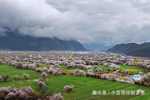 沿着318，去波密，寻找云端上的桃花源，看全世界最美的桃花