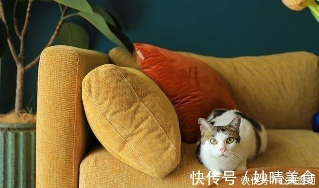 玄关|独居5年，为了不结婚，她买下44㎡小公寓，一个人也能活出精彩！