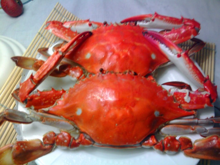 清蒸螃蟹,直接蒸是大错!多加1步,螃蟹不掉腿不流黄,鲜嫩美味