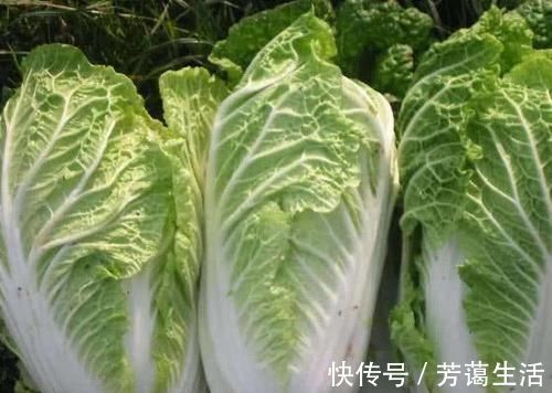 血脂增高|血脂增高不用急，谨记多吃几样食物，血脂可能“悄悄”降下去