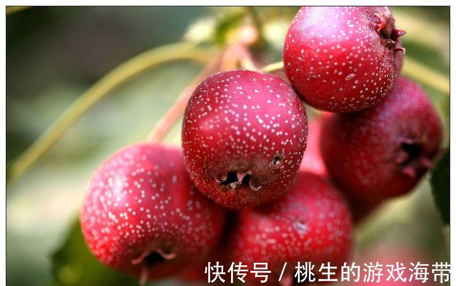 家长|怎样判断孩子是不是积食了?教你2招轻松搞定,孩子吃饭香身体壮