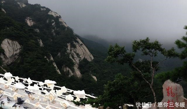 原始森林|华东最后一片原始森林, 中国唯一零差评的5A景区, 网友 良心景区！
