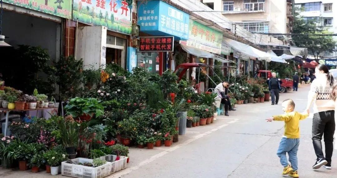 二月春光如酒浓 共赴广安花的盛宴