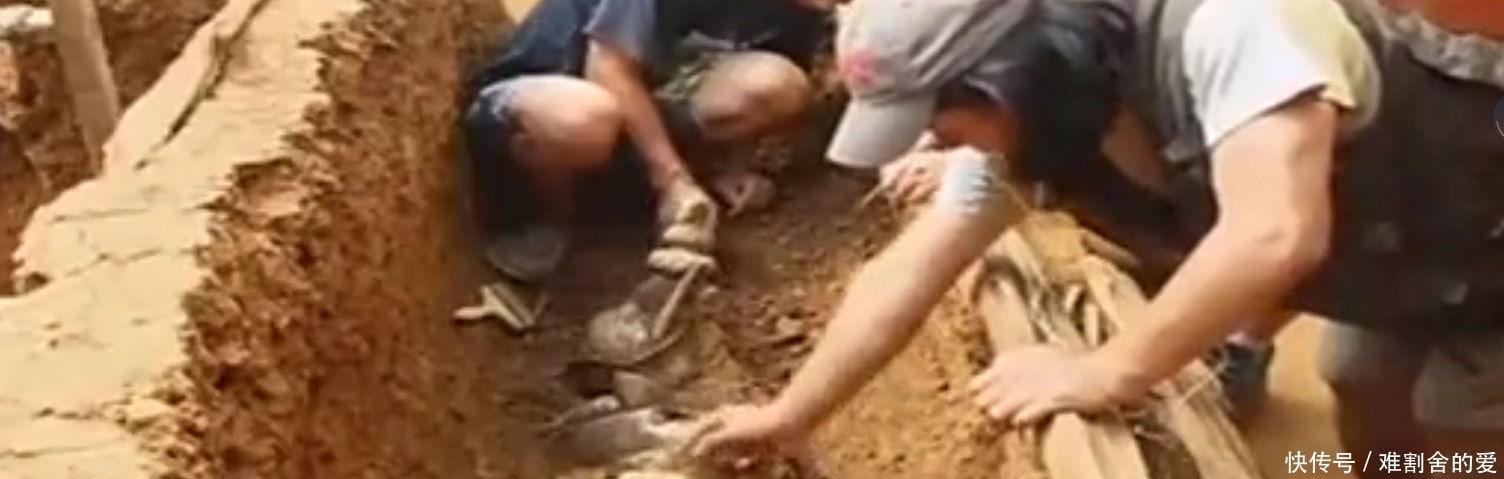 土司|这座700年古墓里藏有大量黄金,却没有被盗,专家都看傻眼!