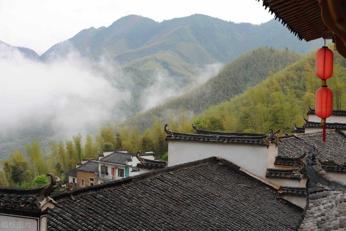 蜀南竹海|国内值得一去的5处竹海，大自然的电冰箱，度假避暑的好去处