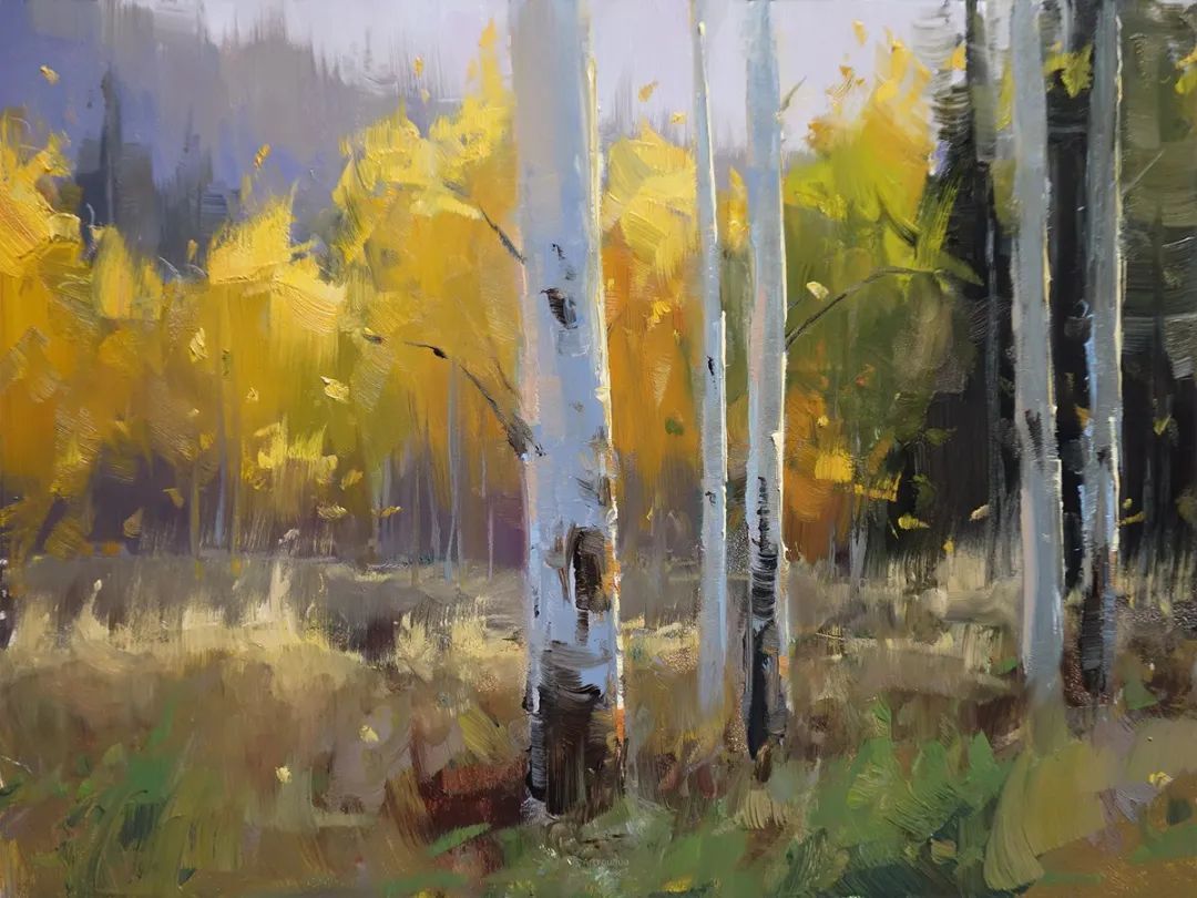 科罗拉多州@斯泰西·彼得森:半路出家的女画家,笔下的风景堪称一绝