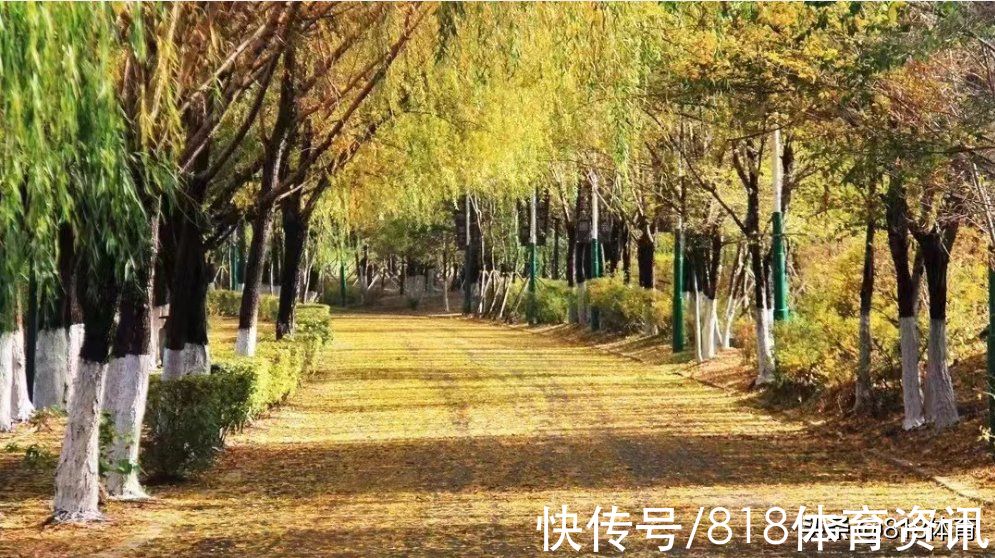国足|卷铺盖回家!李铁落地沈阳告别国足:结束一段珍贵的旅程,感谢所有!