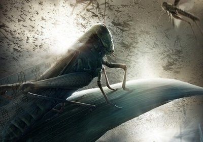 人类 三体人为什么说人类是虫子？这或许是一种赞美