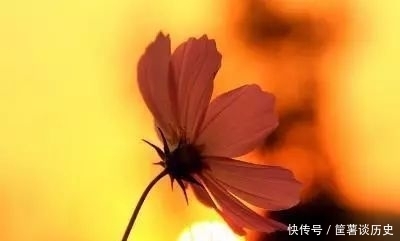 受益|这10个耳熟能详的成语,均出自《易经》,读懂了受益无穷