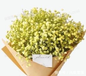 花市|花市的花太好看了