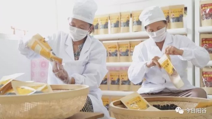 阵法|枣林阵法！阳谷乌枣竟然和杨家将有这样的渊源