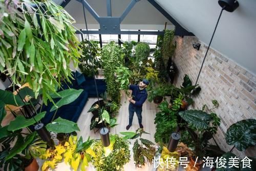 一片叶子要价10多万!顾客竟排队抢买 男子曝致富关键