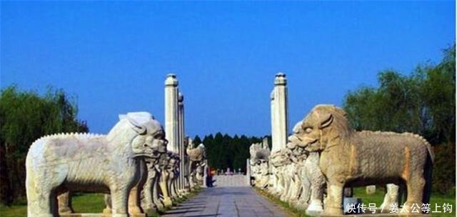 几位小学生|小学生上山捡建筑材料,意外发现无名古墓,助专家破解历史悬案!