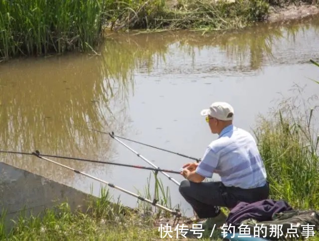 钓友牢记这4个关键字,早春垂钓轻松得鱼,渔获不知道要好几倍!