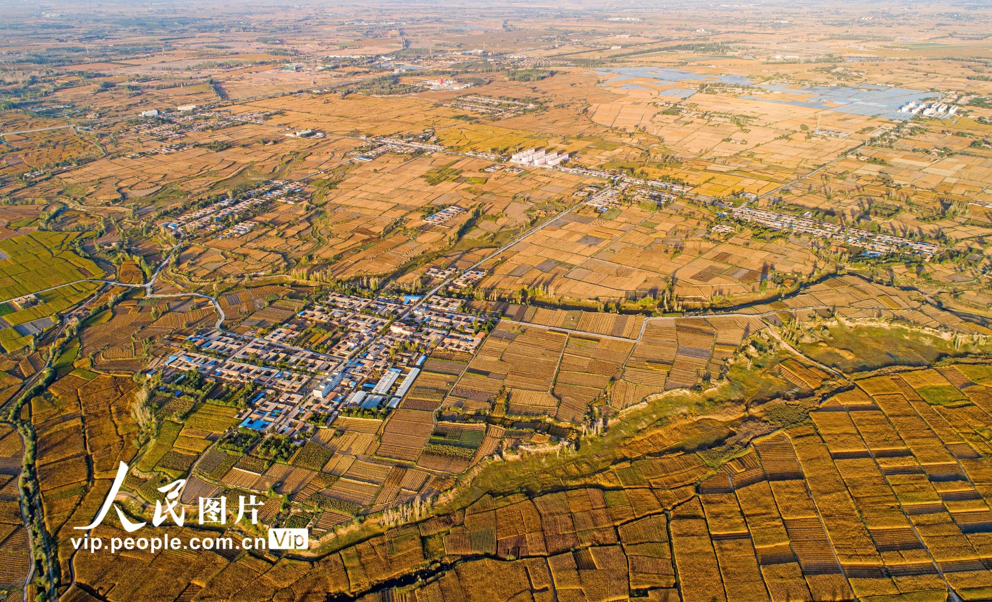 黑河|甘肃张掖：黑河两岸秋景如画