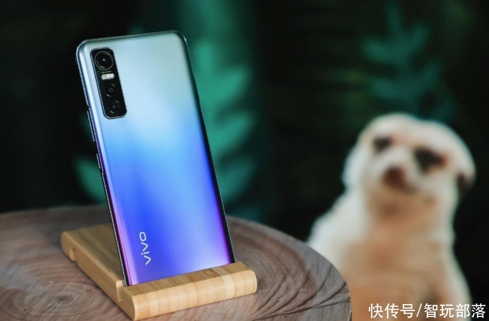 秘境|还原野生动物的生存环境！vivo S7超清主摄打造丛林秘境