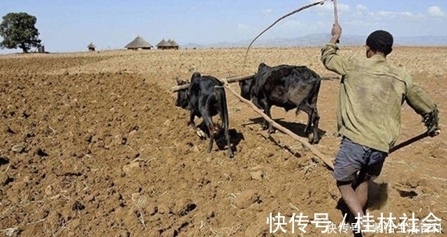 农民朋友|城镇户口买农村宅基地?有土地证和房产证,但不给确权,咋办?