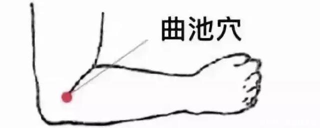 疾病大多是“堵”出来的,最好的疏通法都在这