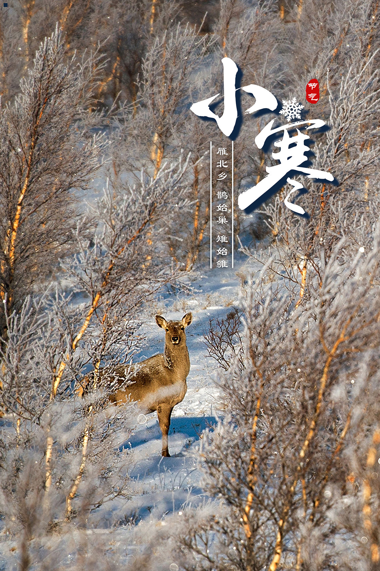 腊七腊八！报节气|虽犹寒春不远