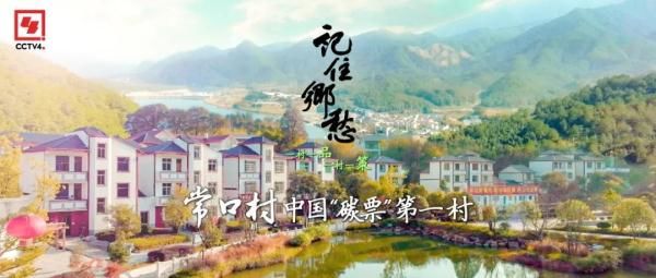 风水林|走进中国“碳票”第一村，看空气如何变成“钱”→