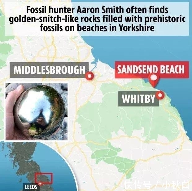 球体|业余收藏家在海滩发现一金色球体,冒险打开后,珍贵物体露了出来