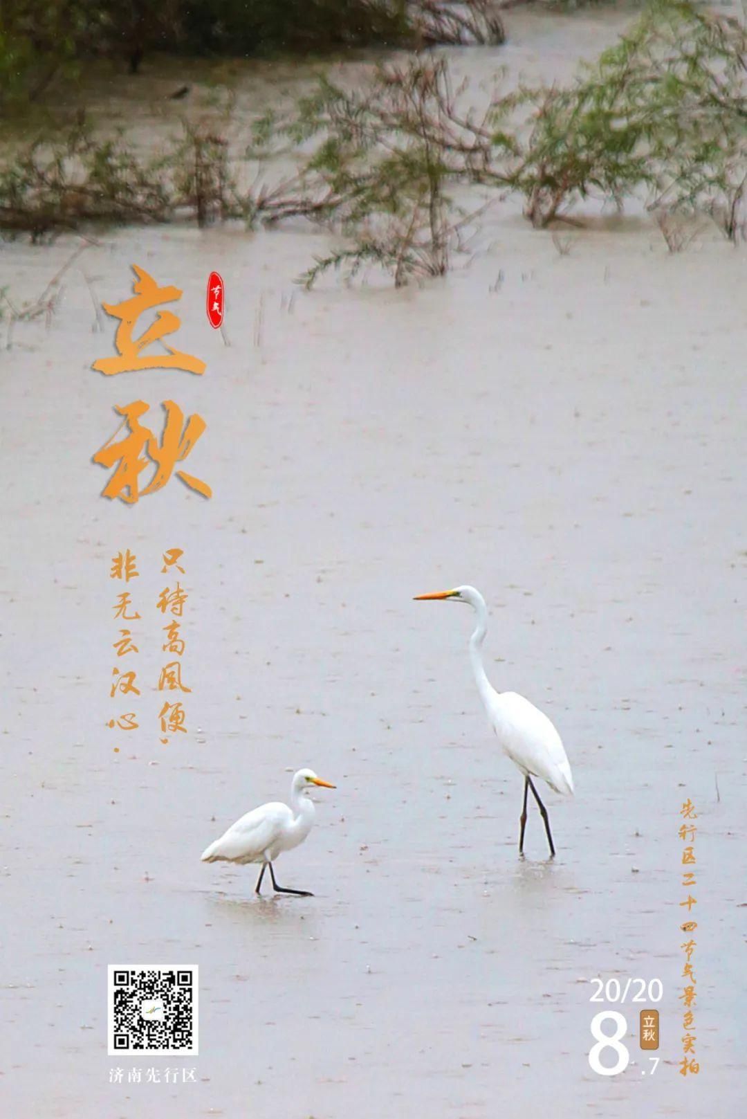  大雪|先行区二十四节气——大雪