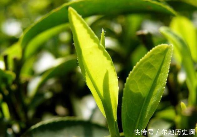 身体|肝癌早期不疼不痒，若是手掌出现这个“信号”，预示体内有癌细胞