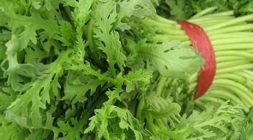 食物|若不想与痛风“为敌”,6种食物平时敞开吃,高尿酸悄悄降下去