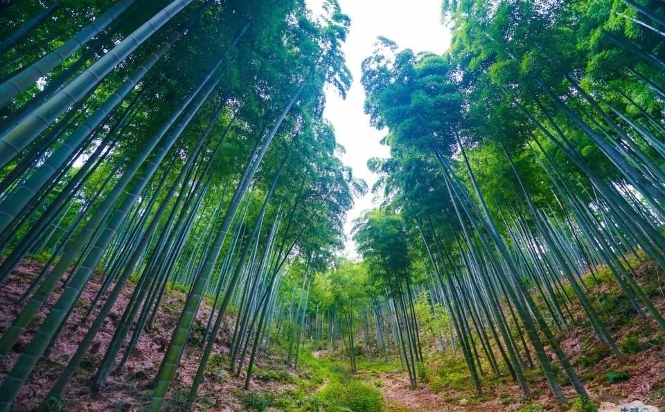 风光旖旎|从《诗经》走出来的县城，山清水秀、风光旖旎，是全国首个生态县