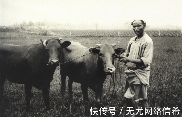 老照片|1910年四川成都老照片，清末成都历史，风貌一览