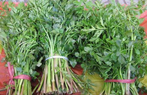 预防肝硬化|女人养肝就是抗衰老,3种野菜,养肝护肝,肝脏排毒,女人更年轻