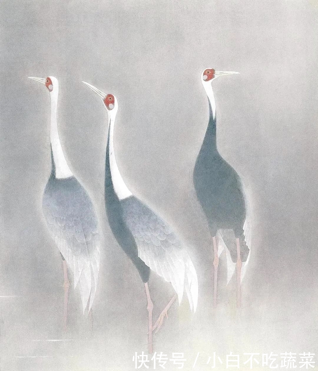 这画中的小生命,纯净天真