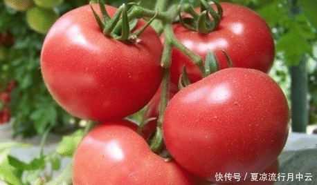 买西红柿技巧很重要，教你4个挑选技巧，西红柿酸酸甜甜味道正！