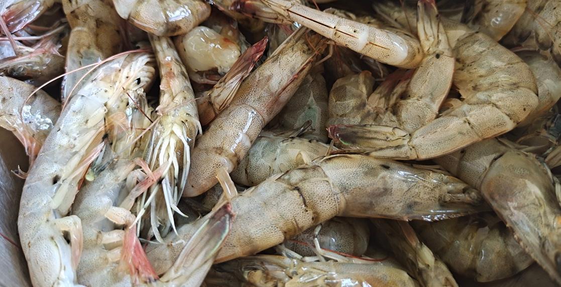 钙片|大虾这样做孩子吃不够,满口酥脆,连虾皮都能吃,蛋白丰富还补钙