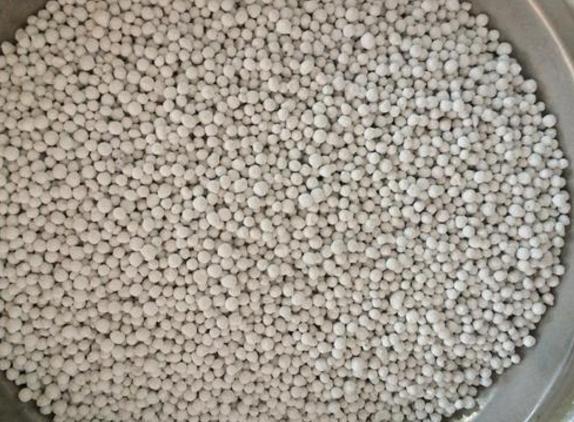 骨粉|养君子兰、长寿花,盆里撒点“万能肥”,新芽猛长,呼呼开花!